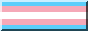 Transgender Flag